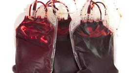 Timeline: The history of Blood!