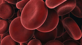 Timeline: The History of Blood