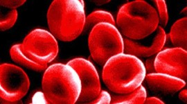 Timeline: Blood Timeline