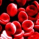 Blood1