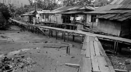 Timeline: Understanding timeline - NE Gallery