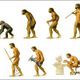Evolucion 1