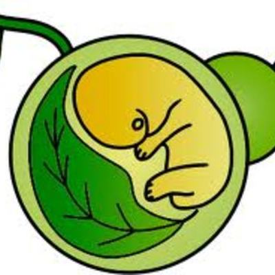 Timeline: eventos importantes en la historia de la biologia