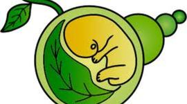 Timeline: eventos importantes en la historia de la biologia