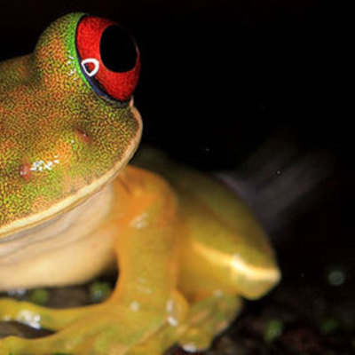 Timeline: Linea de tiempo Biologia