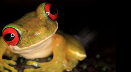 Timeline: Linea de tiempo Biologia