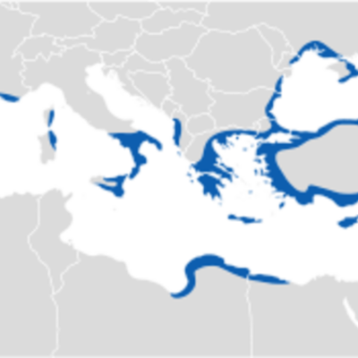 Timeline: Civiltà Greca
