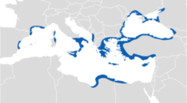 Timeline: Civiltà Greca