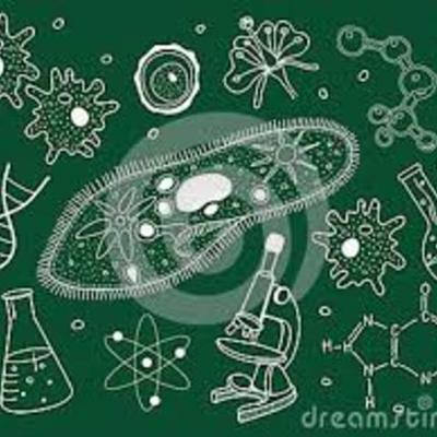 Timeline: Eventos importantes en la historia de la Biologia