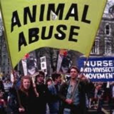 Timeline: History of Animal Rights