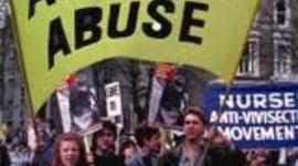 Timeline: History of Animal Rights