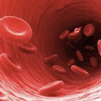 Timeline: The History of Blood