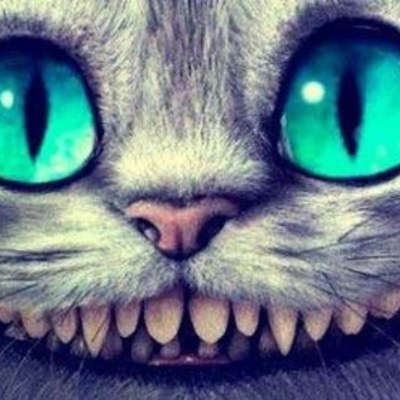 Timeline: 4 souvenirs importants de ta vie