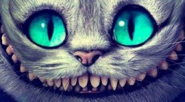 Timeline: 4 souvenirs importants de ta vie