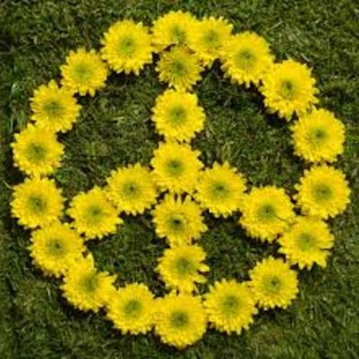 Timeline: Edixon/ Era of activism