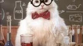 Timeline: History of the Atom Timeline presented by Landry Baudouin and Connor Gibbon