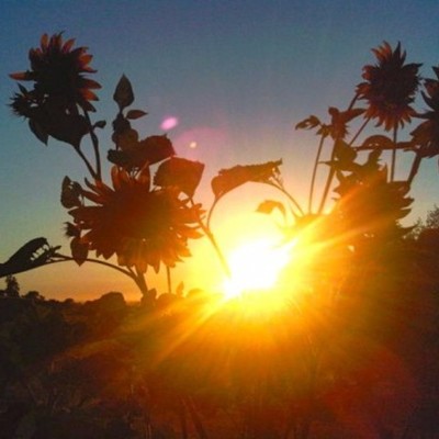 Timeline: Era Of Activism (Caparelli)