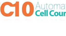 Timeline: Marketing Timeline