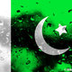Pakistan flag 2 by umerr2000