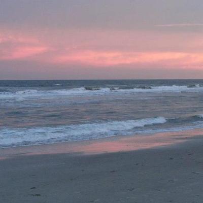 Timeline: Whale Song Timeline