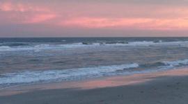 Timeline: Whale Song Timeline