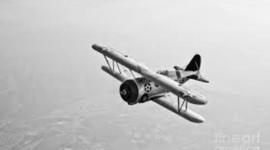 Timeline: Drones Timeline