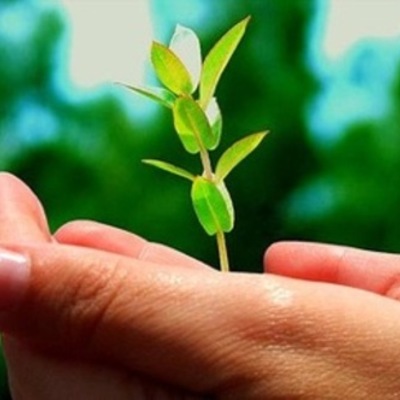 Timeline: Bill McKibben