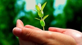 Timeline: Bill McKibben