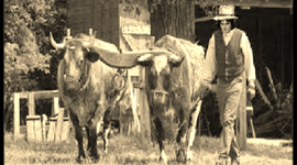 Timeline: Timeline 1750-1918