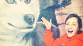 Timeline: La vida de Jessie