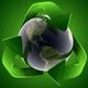 Ecologia