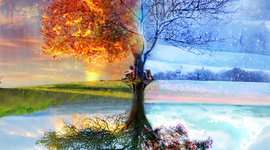 Timeline: Werner's European Discovery Timeline