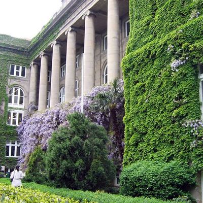 Timeline: Ma vie de Prep a RC