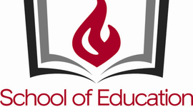 Timeline: Critical Experience Plan