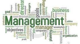 Timeline: Amanda's History of Management