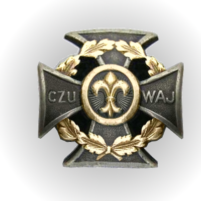 Timeline: Historia ZHP