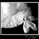 Tutu pointe shoes