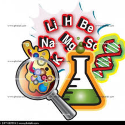 Timeline: sociologia como ciencia