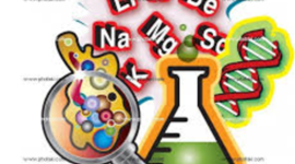 Timeline: sociologia como ciencia