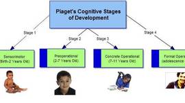 Timeline: Piaget's Stages of Cognitive Development