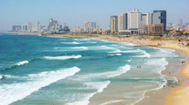 Timeline: Barbados Democratic Society