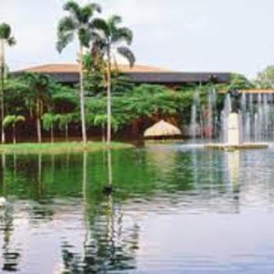 Timeline: Origenes de la universidades