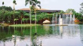 Timeline: Origenes de la universidades