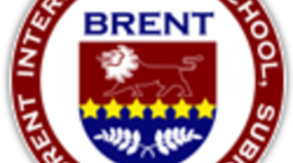 Timeline: Jenny's timeline