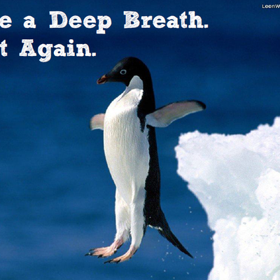 Timeline: Projet Géomatique - CC Bretagne Romantique (2013-2016)