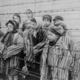 Theholocaust