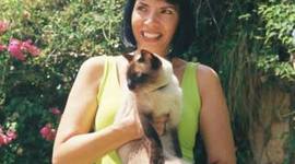 Timeline: ציר הזמן האישי שלי