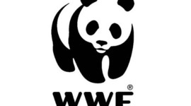 Timeline: Исчезающие виды животных.