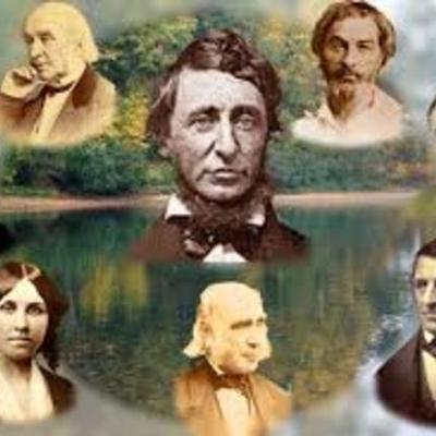 Timeline: The Search for the Great American Author