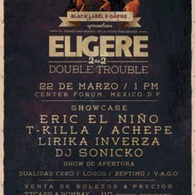 Timeline: Eligere y Linea 16